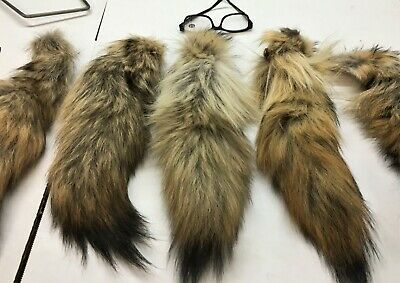 1 Coyote Tail, "select" 14-16" , Fur, Tail, Fluffy, Coytail