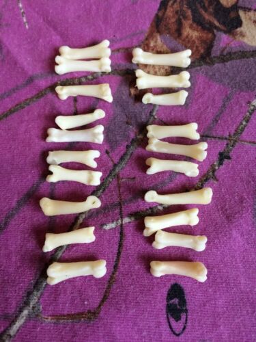20 Real Coyote Toes Bone Mountain Man Craft Skull Jewelry Necklace Gothic Claws